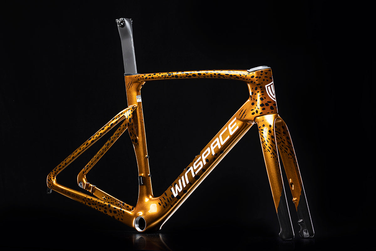 T1600 Aero Frameset